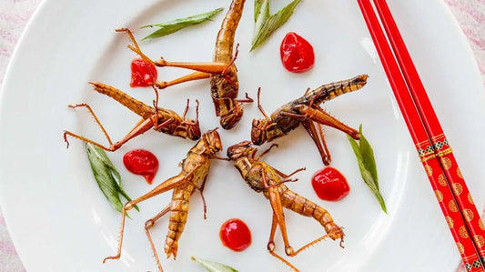 Edible insects gourmet