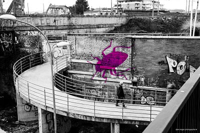 EntoFoodVisions: the videocatalogue