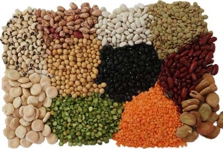 edible insects products have fibers