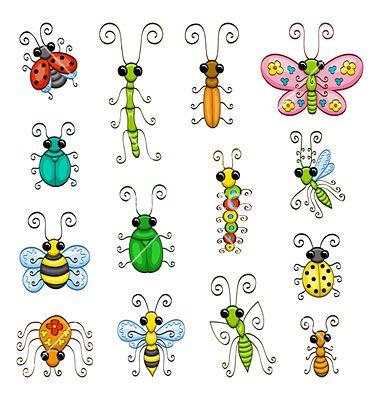 Edible insects species worldwide list