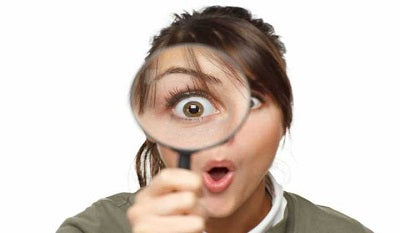 Are you interested in edible insects?