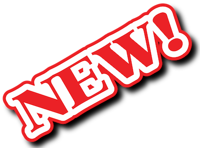 new edible insects sweets