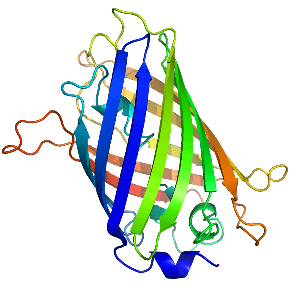 21bites - protein structure