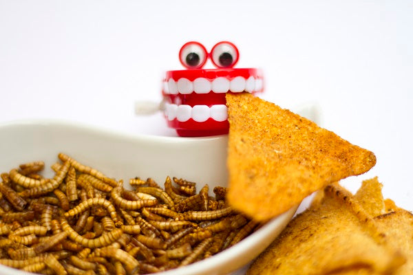 New look for 21bites!