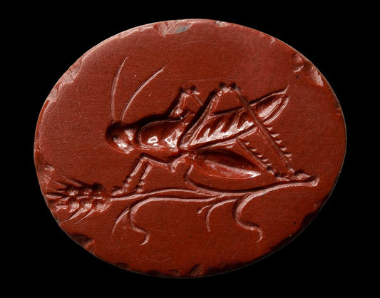 Edible insect ancient tile