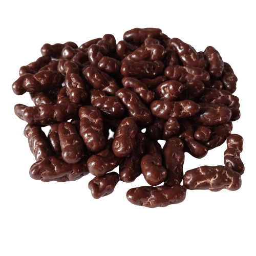 21bites - Dark chocolate covered crickets - 21bites