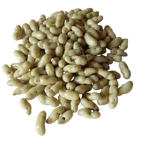 21bites - White chocolate covered crickets - 21bites