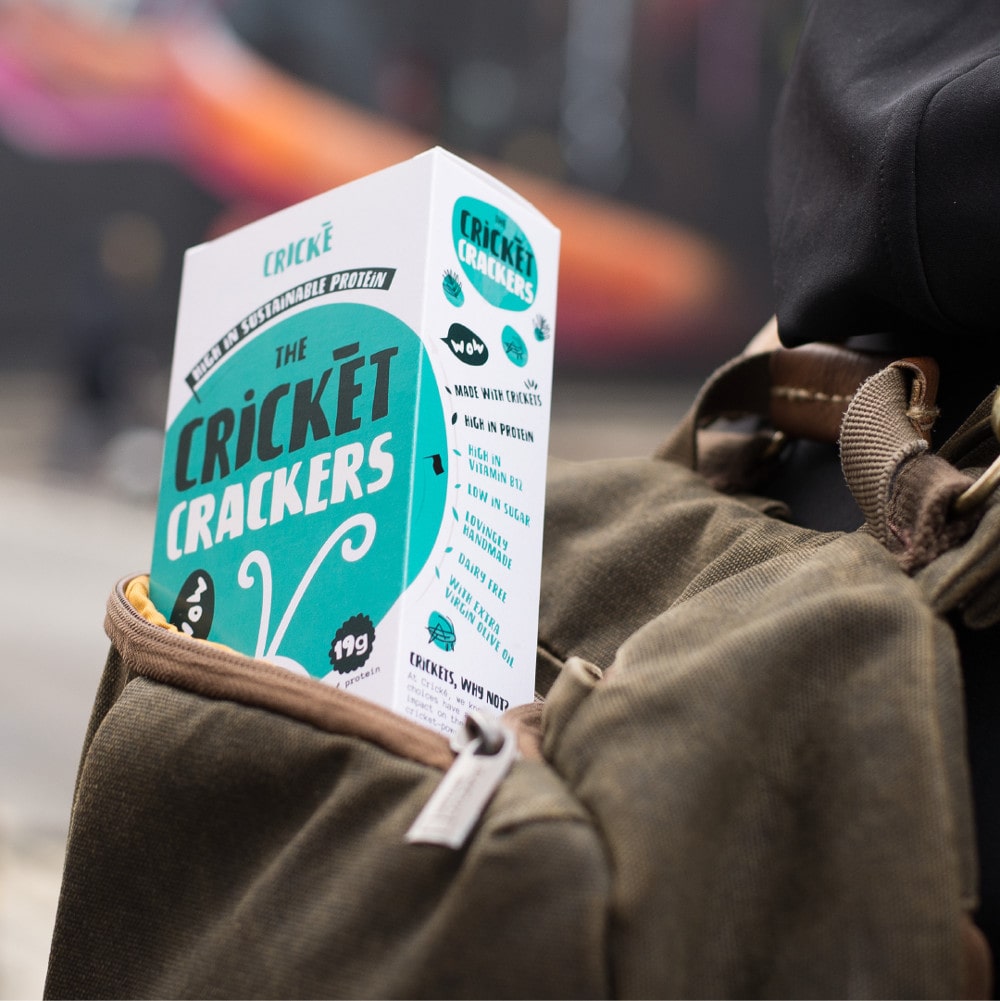 Crickè - Sunflower & Chia Seeds cricket crackers - 21bites