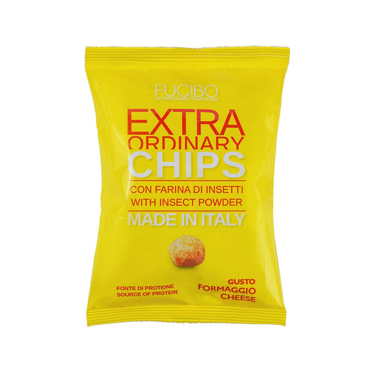 Fucibo - Cheese chips with insect powder - 21bites