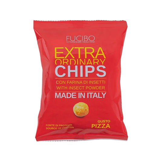 Fucibo - Pizza Chips with insect powder - 21bites