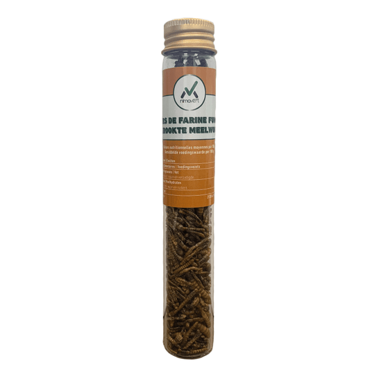 Nimavert - Smoked mealworms tube - 21bites