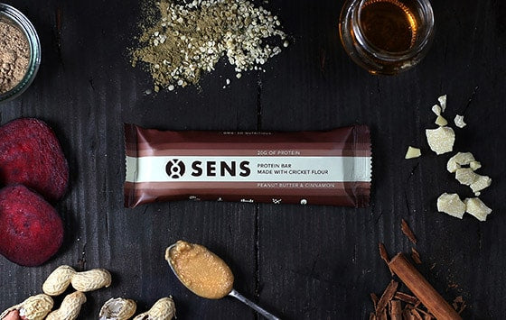Sens Peanut Butter & Cinnamon protein bar - 21bites