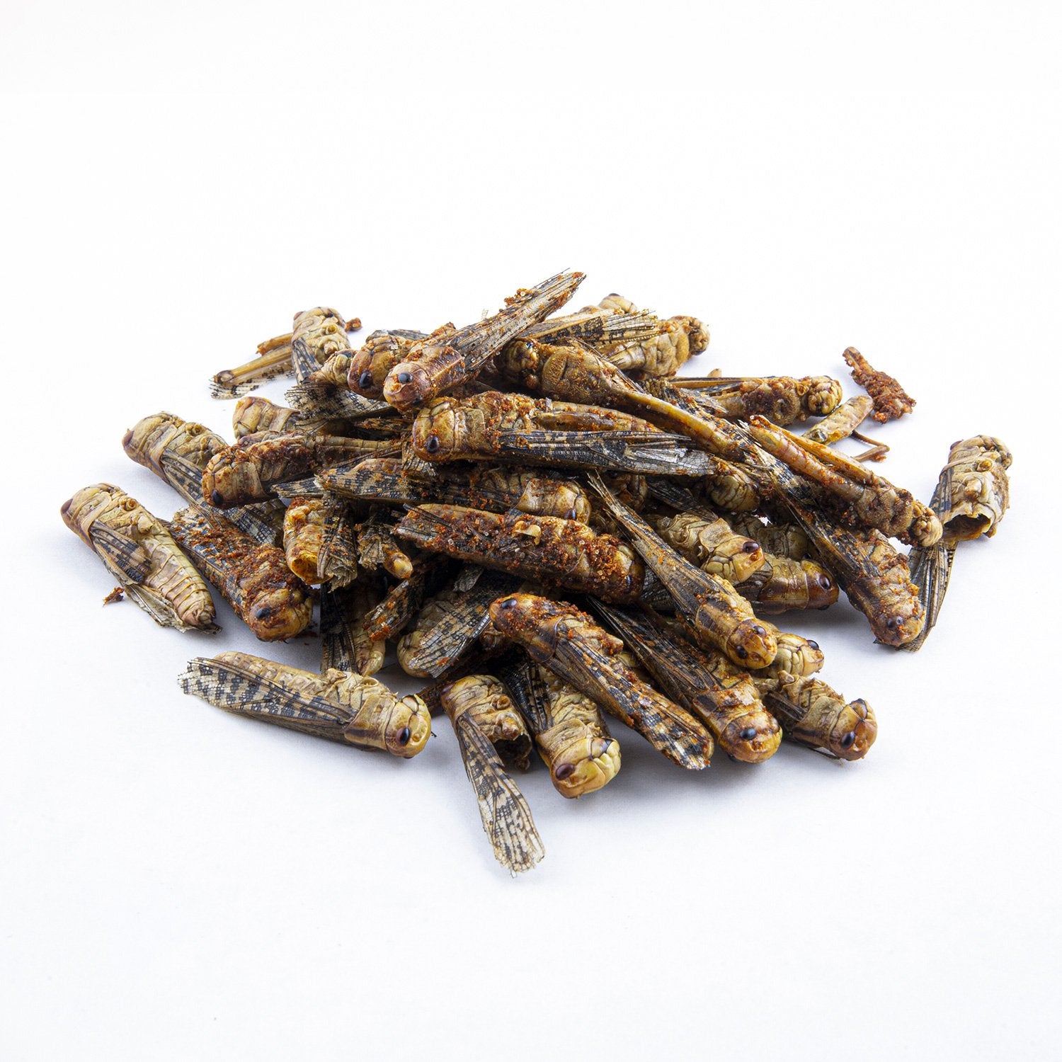 theShow - Grasshoppers Paprika (Special Edition) - 21bites